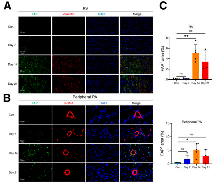 屏幕捕获_2025_05_27_10_59_59_482