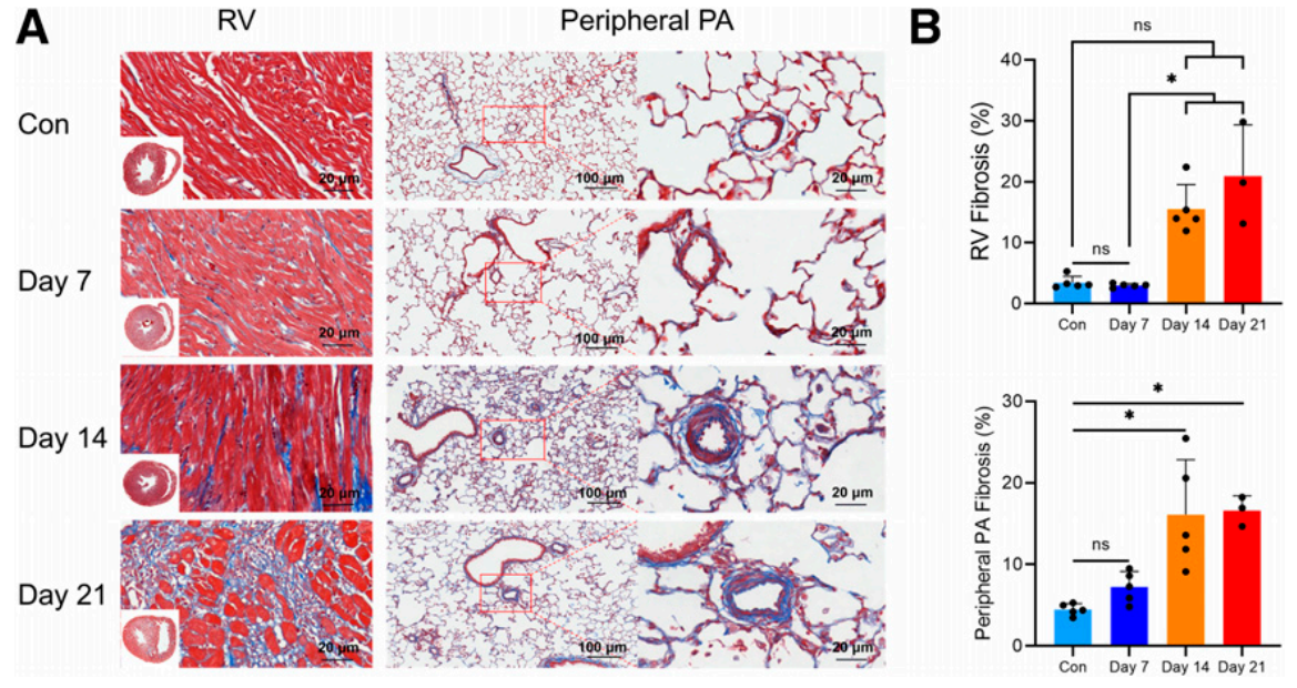 屏幕捕获_2025_05_24_14_02_07_439