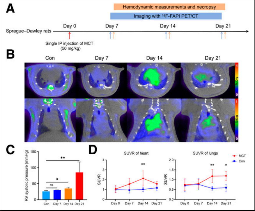 屏幕捕获_2025_05_24_13_58_14_427