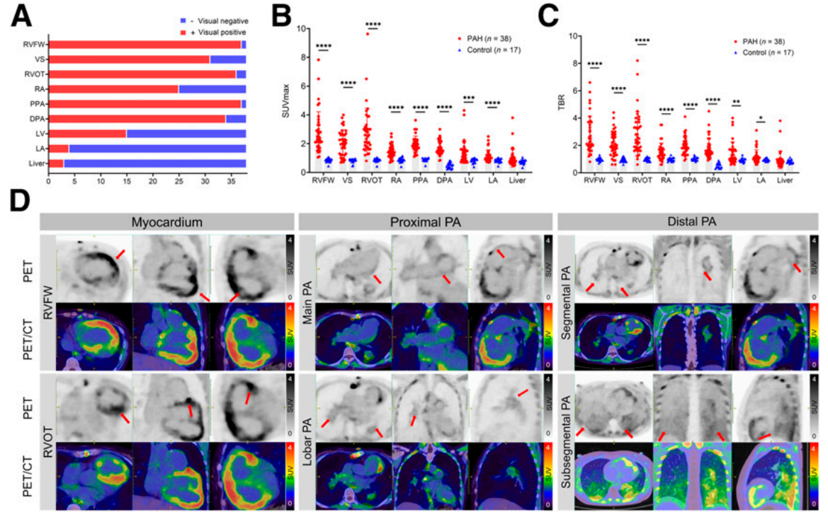 屏幕捕获_2025_05_24_14_10_13_621