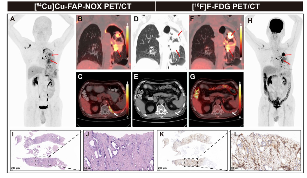屏幕捕获_2024_11_06_11_14_14_215