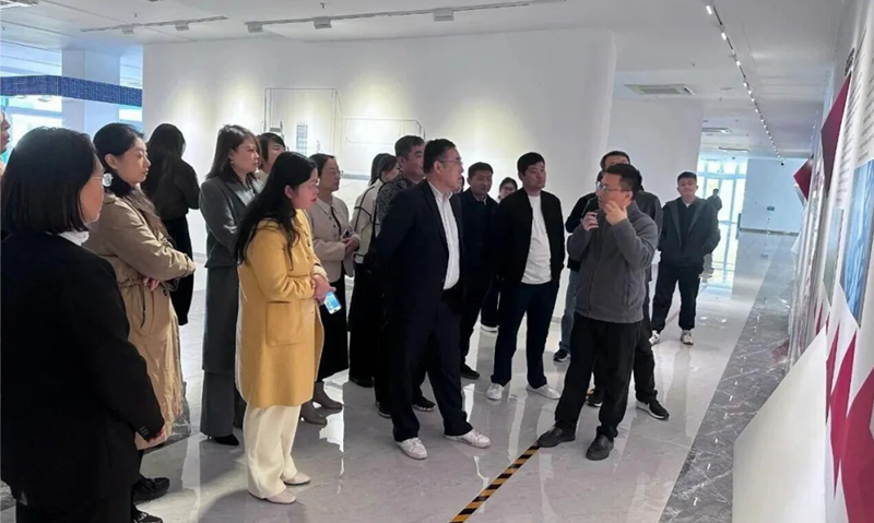 政企协同聚合力，创新赋能话发展——临沂市民主党派参政议政骨干培训班莅临麦德盈华参观调研